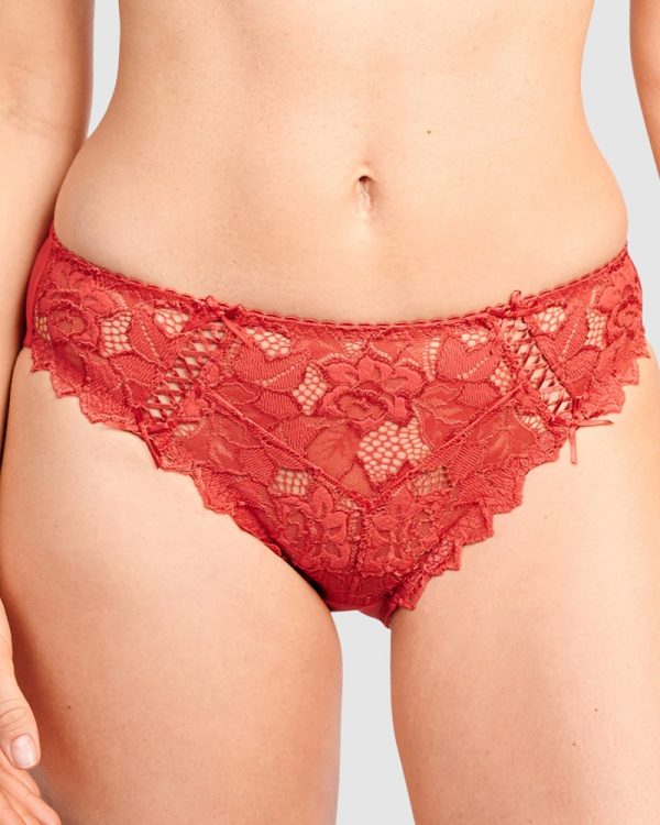 Sans Complexe Arum Microfiber & Lace Hipster Brief Jester Red