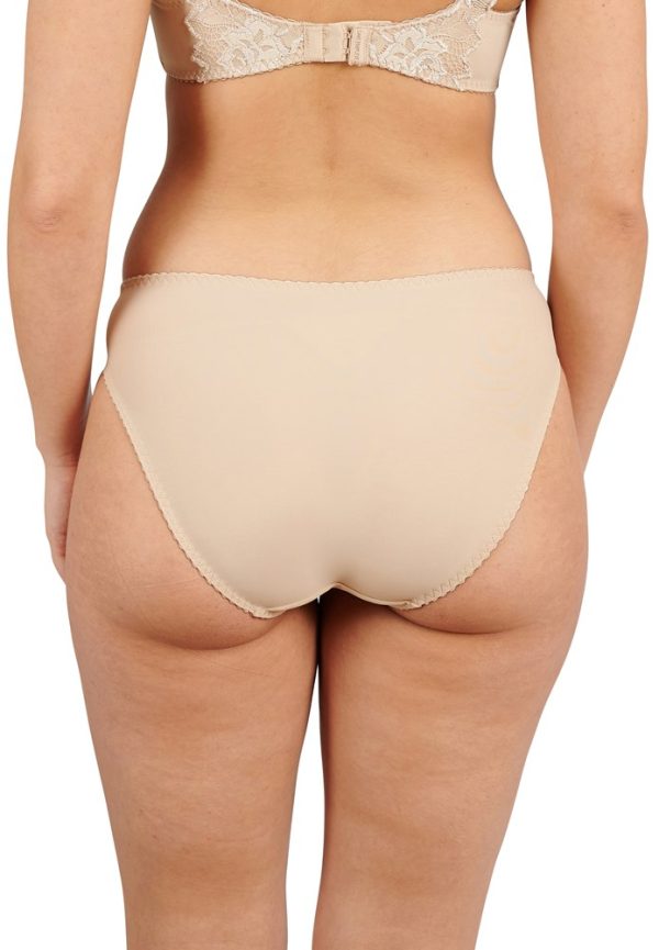 Sans Complexe Arum Microfiber & Lace Hipster Brief - Image 4