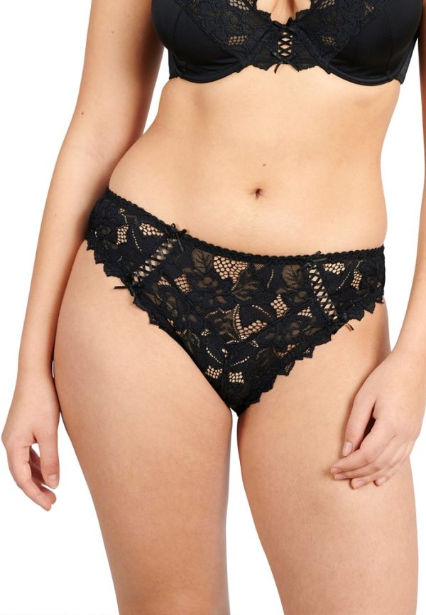 Sans Complexe Arum Microfiber & Lace Hipster Brief - Image 5